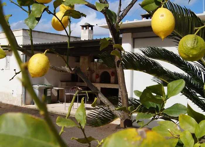 Agrolivo * Ostuni